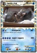 famille chat