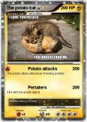 The potato kat