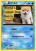 R.I.P Boo