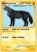 loup-briard mix