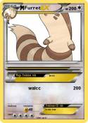 Furret