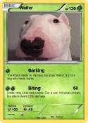 Walter