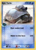 Epic Turtle