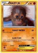 CRAZY JR.