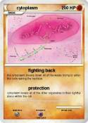 cytoplasm