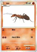 Ant