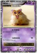 rattata