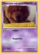 chow-chow m@nge
