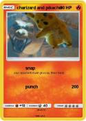 charizard and