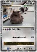 Fatachu