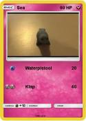 Sea