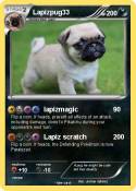 Lapizpug33