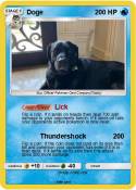 Doge