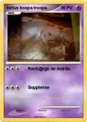 tortue koopa