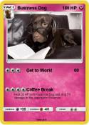 Business Dog