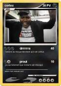 cortex