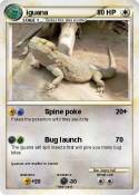 iguana