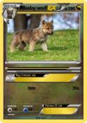 baby wolf