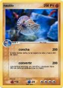 nautilo