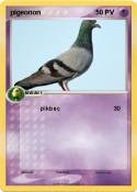 pigeonon