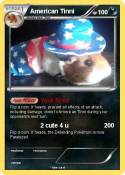 American Tinni