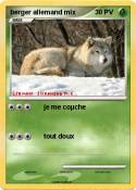 berger allemand