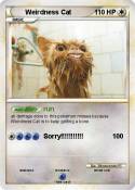 Weirdness Cat