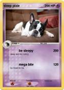 sleep pixie