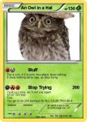 An Owl in a