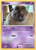 Chungus