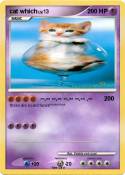 cat which