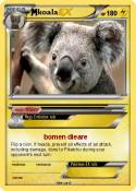 koala