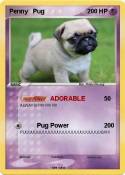 Penny Pug