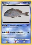 Corvina