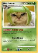 Ninja Cat