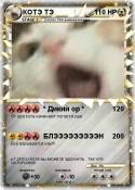 КОТЭ ТЭ
