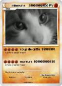 mimoune 9999999