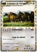 troupeaux de