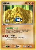 LE MUR