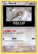 ikea cat