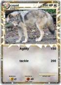coyot