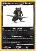 Ninja Raccoon