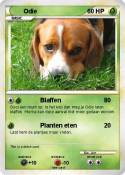Odie