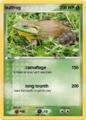 bullfrog