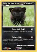 Baby Panther