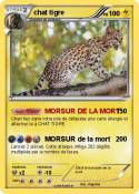 chat tigre