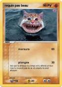 requin pas beau