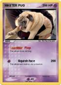 MASTER PUG