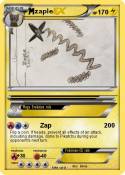 zaple