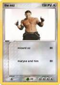 the miz